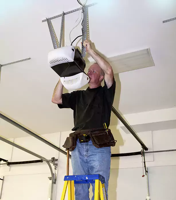 Garage Door Opener Replacement Wellington