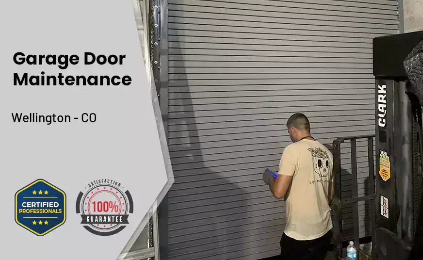 Garage Door Maintenance Wellington - CO 