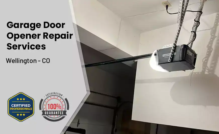 Garage Door Opener Repair Services Wellington - CO 