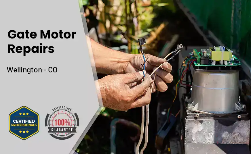 Gate Motor Repairs Wellington - CO 