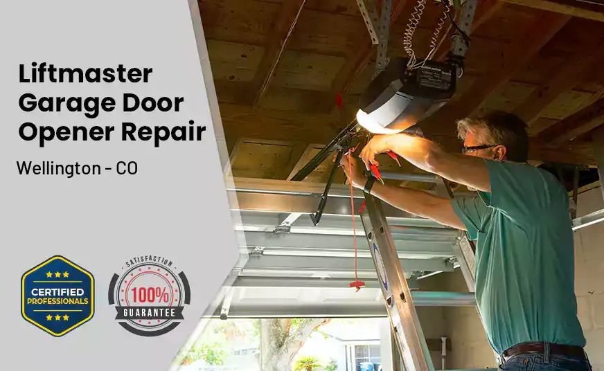 Liftmaster Garage Door Opener Repair Wellington - CO 