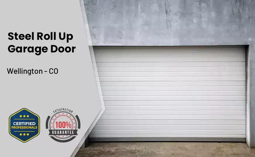 steel roll up garage door Wellington - CO 